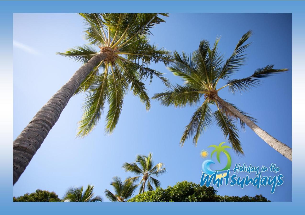 Ocean View 16A Studio Pool & Spa Wi-Fi Airlie Beach Zewnętrze zdjęcie